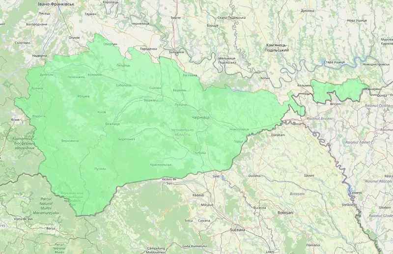 Загроза підтоплення: на Буковині очікують підйом води до 2 метрів