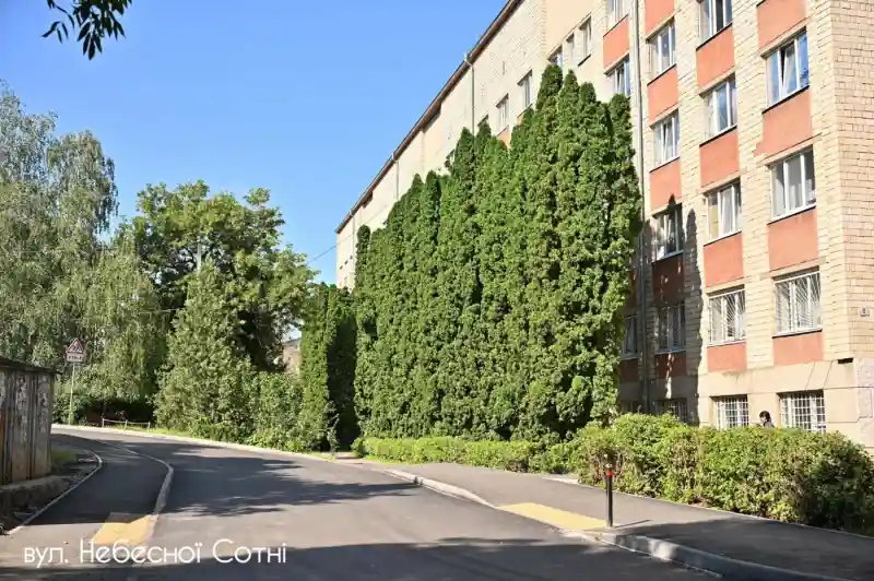 У Чернівцях оновили дорожнє покриття на трьох вулицях та встановили підвищені переходи